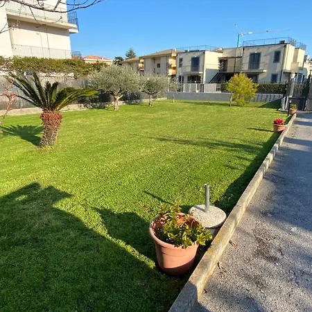 I Fiori Di Pietra 2