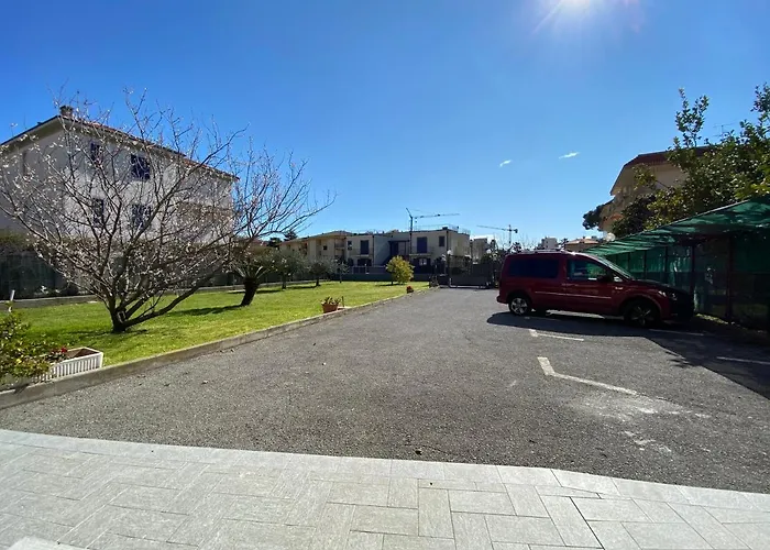 I Fiori Di Pietra 2 *